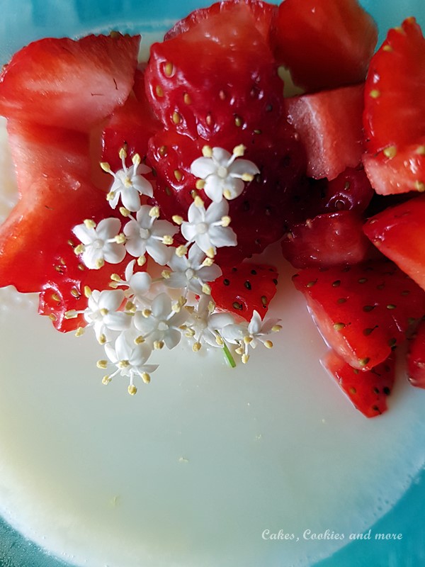Holunderblüten Pudding mit Erdbeeren. Ein feines, erfrischendes Dessert aus Holunderblütenmilch
