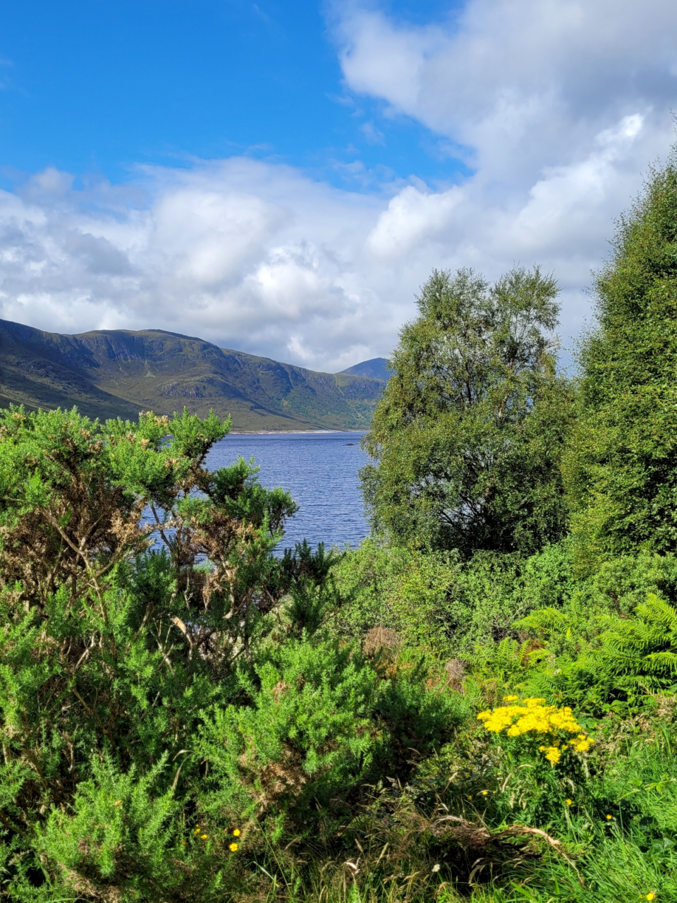 Ausblick auf unserem Roadtrip auf ein Loch / See in Schottland mit viel grüner Umgebung. 