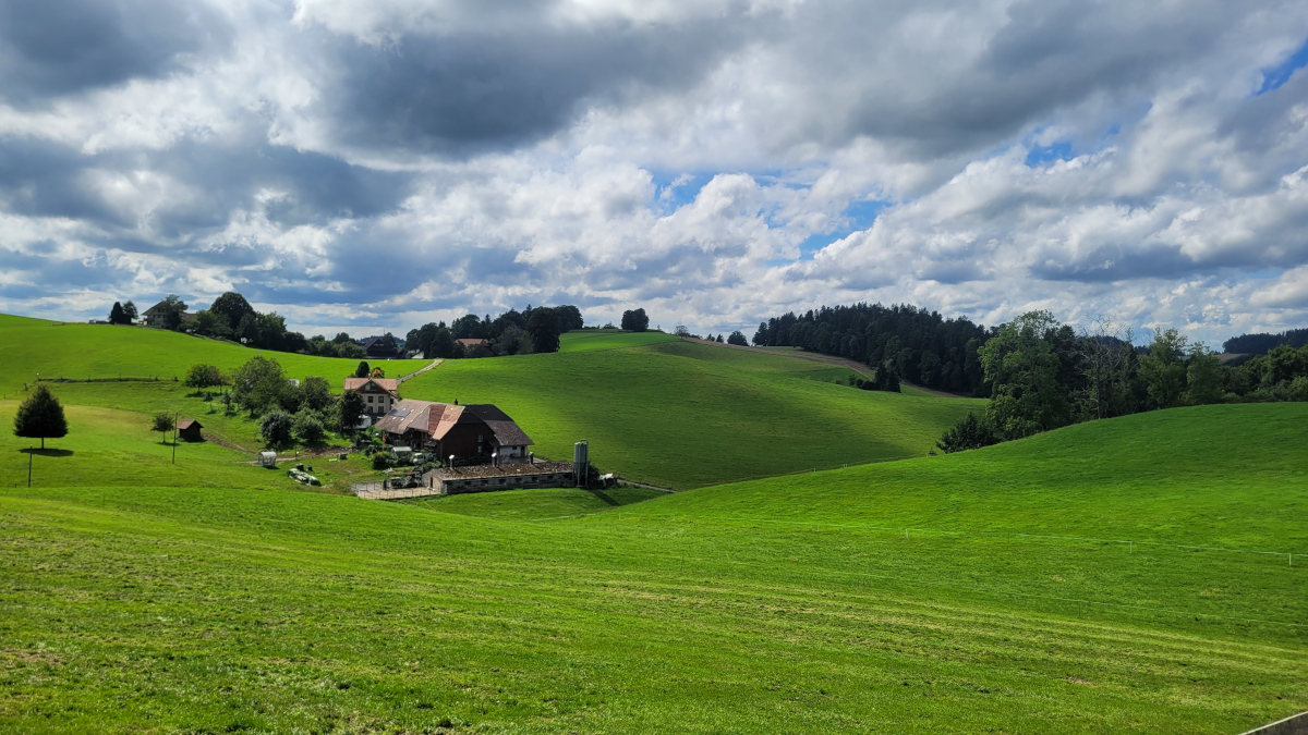 Aussicht aus dem Wohnfass