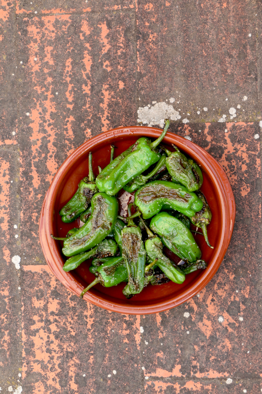 Tapasgerichte - Pimentos Padrones