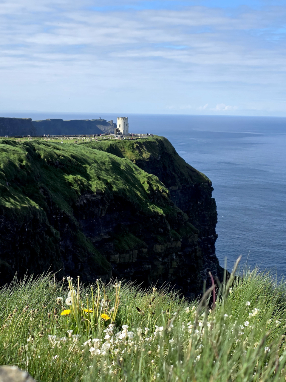 Cliffs of Moher im Frühling