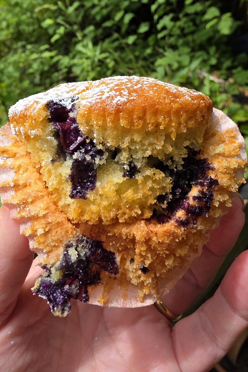 Heidelbeer-Muffins