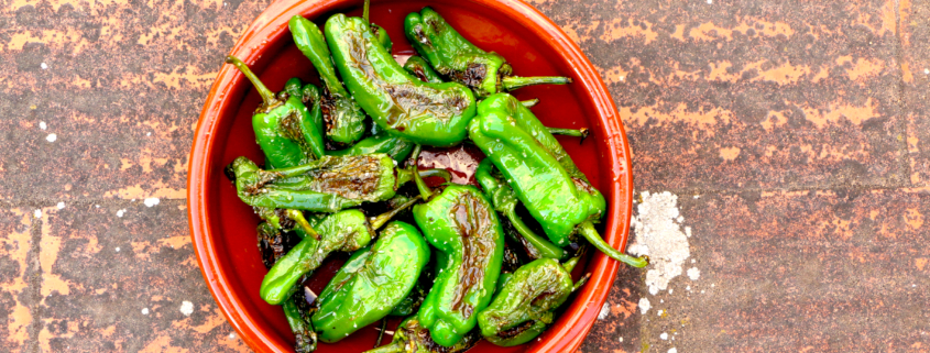 Gebratene Pimientos de Padrón mit grobem Meersalz
